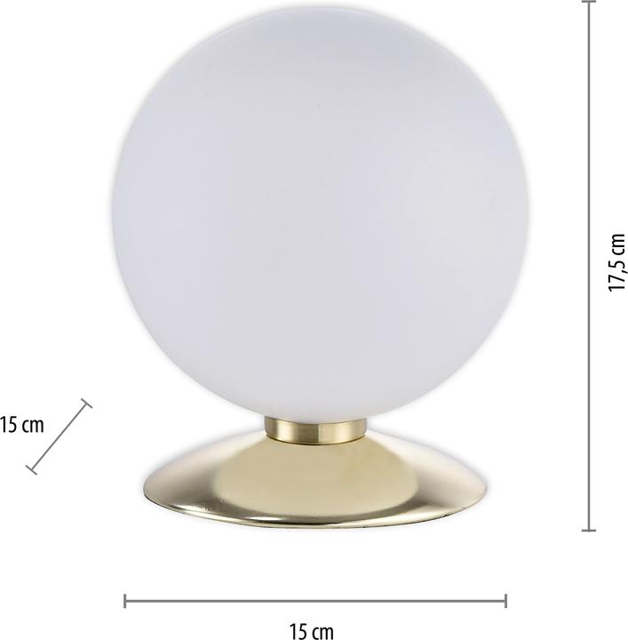 Produktbild Paul Neuhaus messing matt LEDTischleuchte (245 lm, G9)