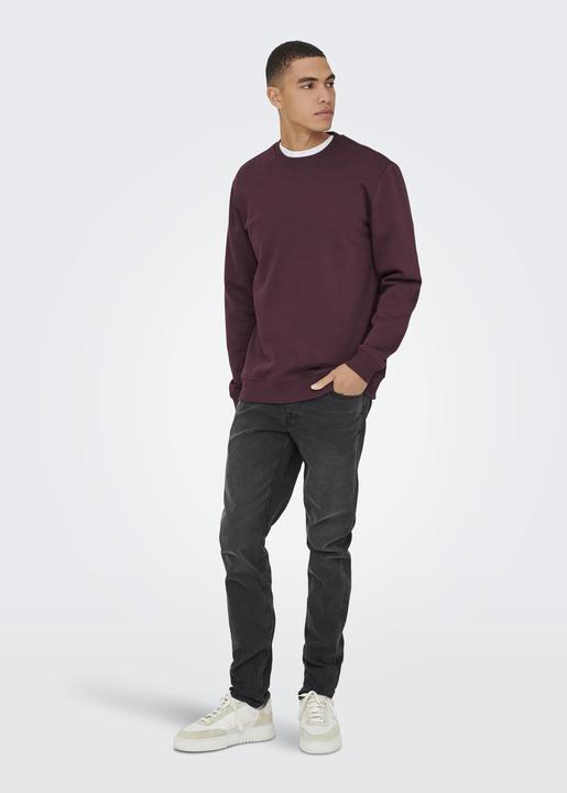 Immagine prodotto Only & Sons Onsconnor Reg Crew Neck Sweat Noos (L)