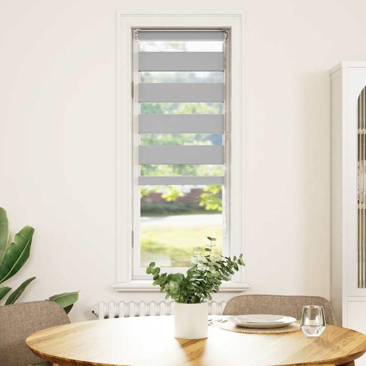 Produktbild vidaXL Zebra-Jalousie (45 x 100 cm)