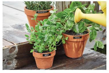 Actual product image Dymo D1 (1.20 cm, White)