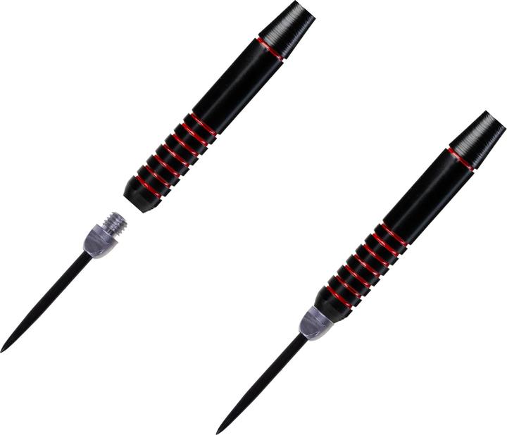 Actual product image Gubler Steel tips