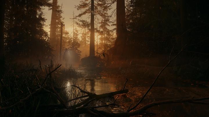 Image du produit Epic Alan Wake 2 PS-5 Édition Deluxe UK (PS5, EN)
