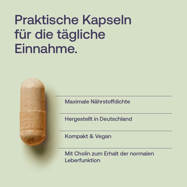 Actual product image Effective Nature Milk thistle extract (60 pcs., Capsules, 28 g)
