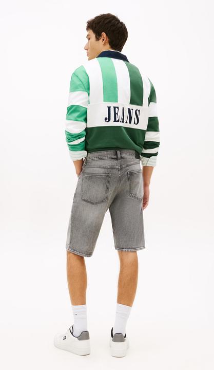 Image du produit Tommy Jeans Ronnie Shorts (36)