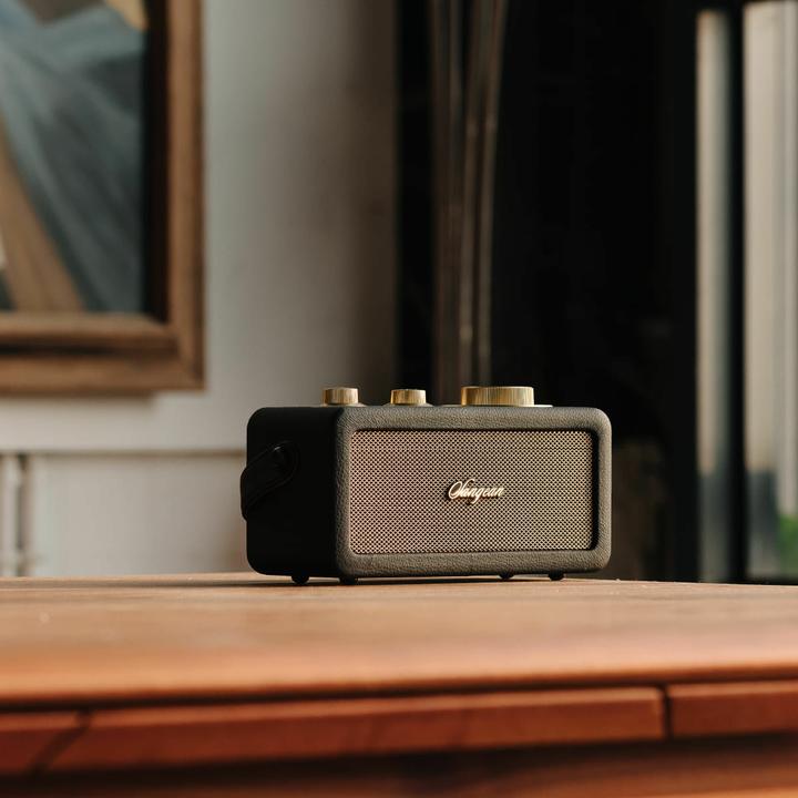 Productafbeelding Sangean RA-101 Oplaadbare Radio FM Bluetooth®, AUX Oplaadbaar Zwart, Goud (FM, Bluetooth)