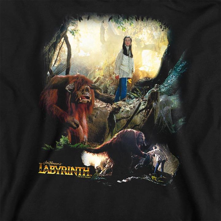 Produktbild Sweatshirt (XXL)