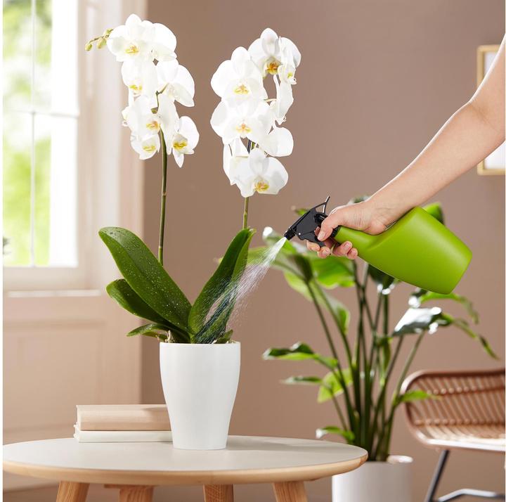 Produktbild Scheurich Smilla (0.70 l)