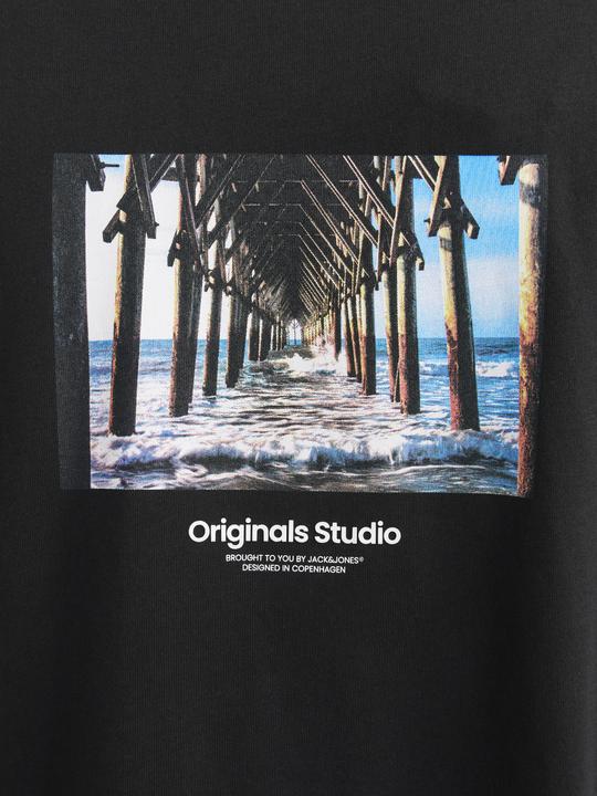 Actual product image Jack & Jones Jorvesterbro Picture Tee Ss Crew Neck Sn (M)