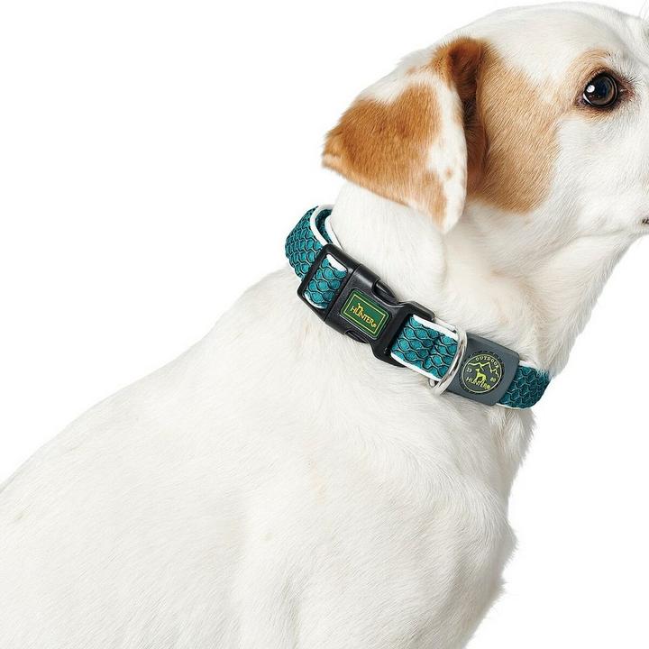 Actual product image Hunter Dog collar Hilo Vario Basic (L, M, Dog, General)