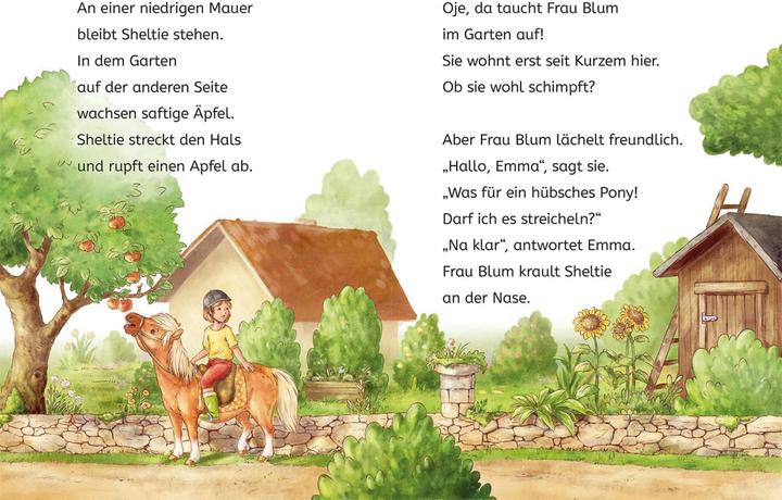 Actual product image Kosmos Sheltie, Bücherhelden 1. Klasse, Sheltie und die Katzenbabys (German, Carola of Boiler, Nadine Reitz, 2024)