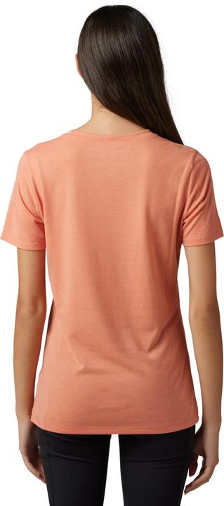 Fox Tee 23 W Absolute Ss Tech Slmn XS (XS)