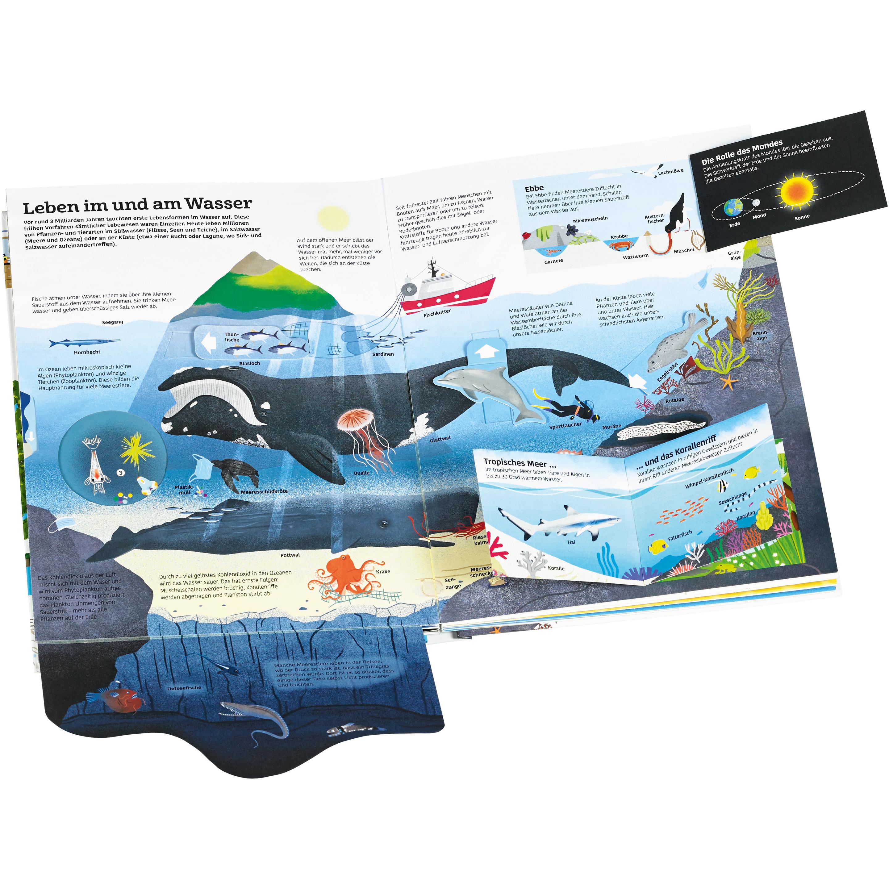 Thumbnail - Mein grosses Buch vom Wasser, Kinderbücher von Anne-Sophie Baumann