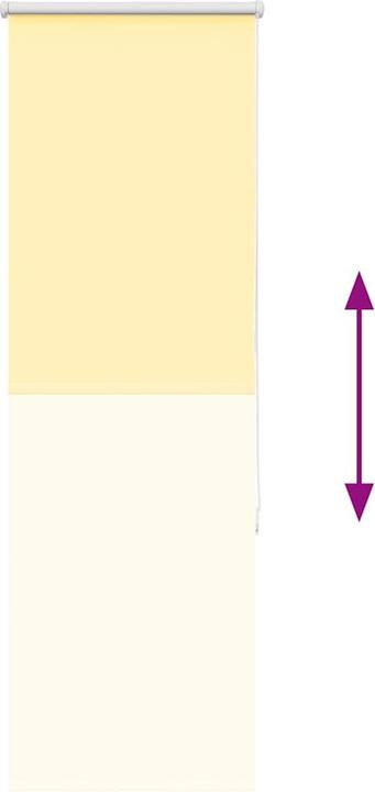 Produktbild vidaXL Verdunkelungsrollo (55 x 175 cm)