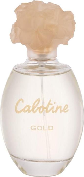 Immagine prodotto Gres Oro (Eau de toilette, 100 ml)