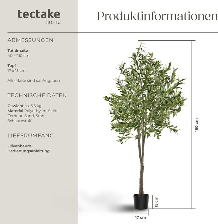 Image du produit tectake Olivenbaum Oleand (180 cm)