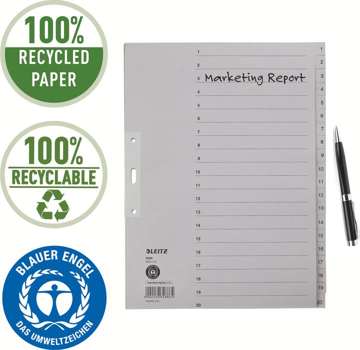 Produktbild Leitz Register Papier