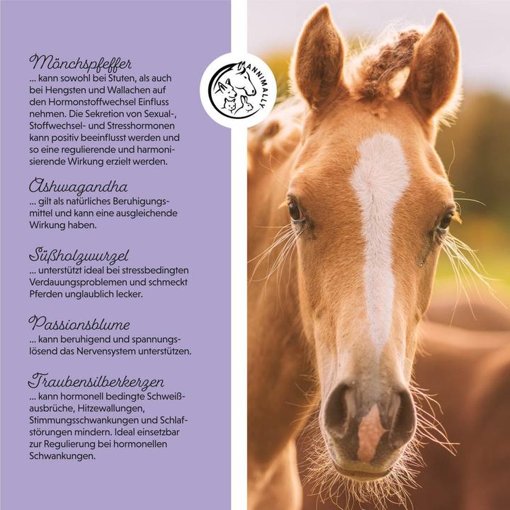 Produktbild Annimally Mönchspfeffer Liquid (1000 g)