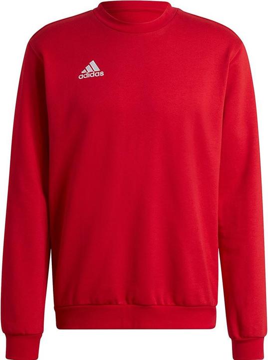Actual product image adidas Entrada 22 sweatshirt men (XXL)