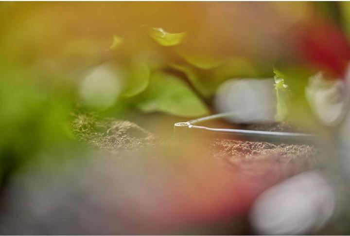 Produktbild Gardena Micro-Drip-System L-Stück (Tropfbewässerung Verbinder + Abzweiger)