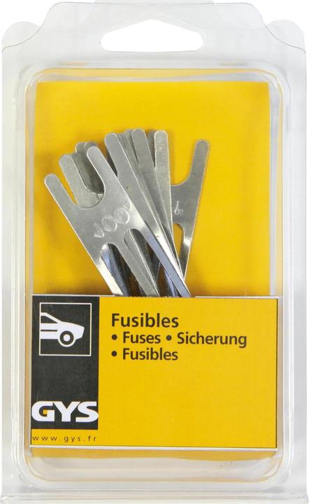 GYS Special fuses set of 10, 100A (100 A)