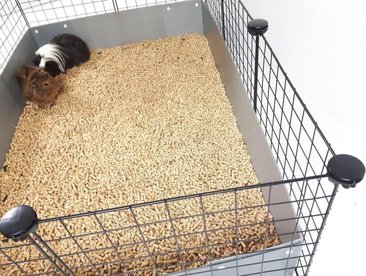 Actual product image C&C Modular cage 4x2 + loft 2x1+ pilkas ramp