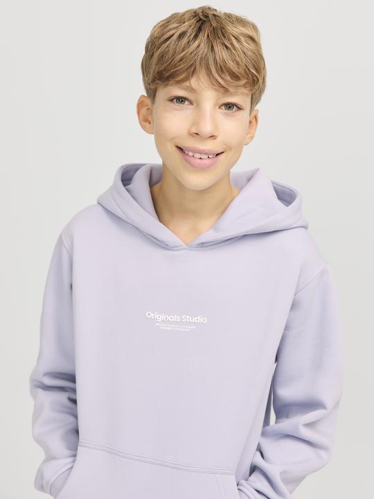 Actual product image Jack & Jones Jorvesterbro Sweat Hood Noos Jnr (128)