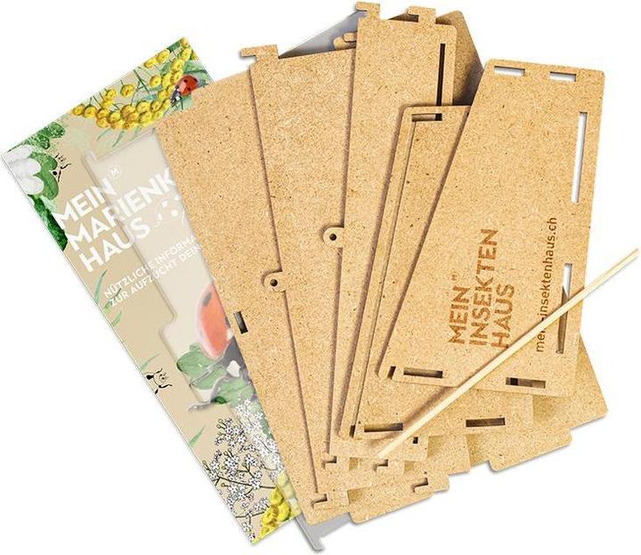 Actual product image Mein Raupenkasten Ladybird house (Ladybirds)