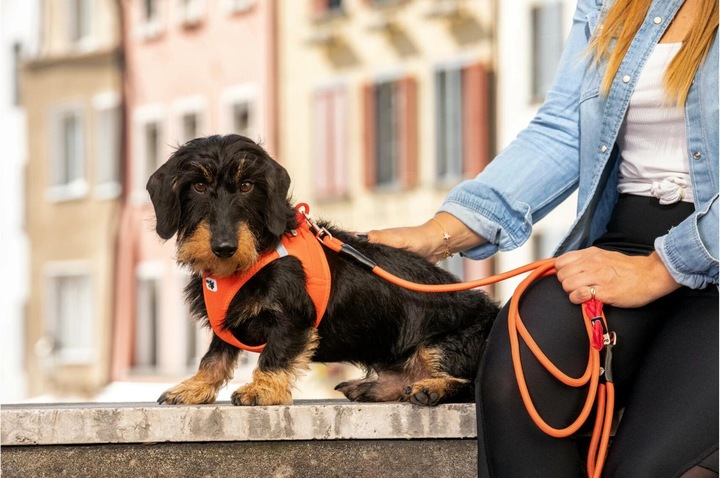 Produktbild Curli Geschirr Vest Air-Mesh XS, Camo (XS, Hund, Allgemein)