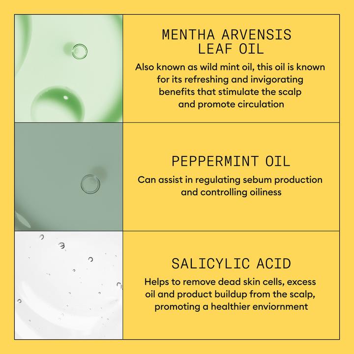 Actual product image Nioxin Scalp + Hair System 1 Shampoo (1000 ml, Liquid shampoo)