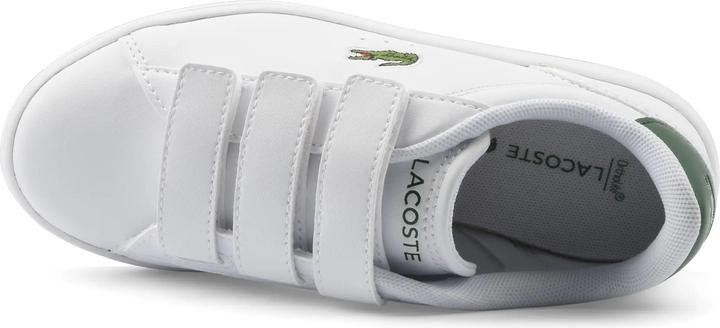 Image du produit Lacoste Children's Carnaby Set Sneakers (31)