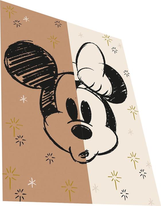 Image du produit Disney - Impression sur toile HALF/HALF (80 x 60 cm)
