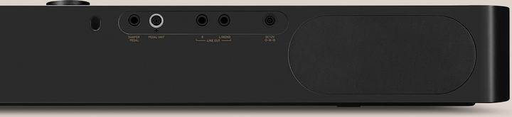 Actual product image Casio Privia PX-S1100BK (88 Keys)