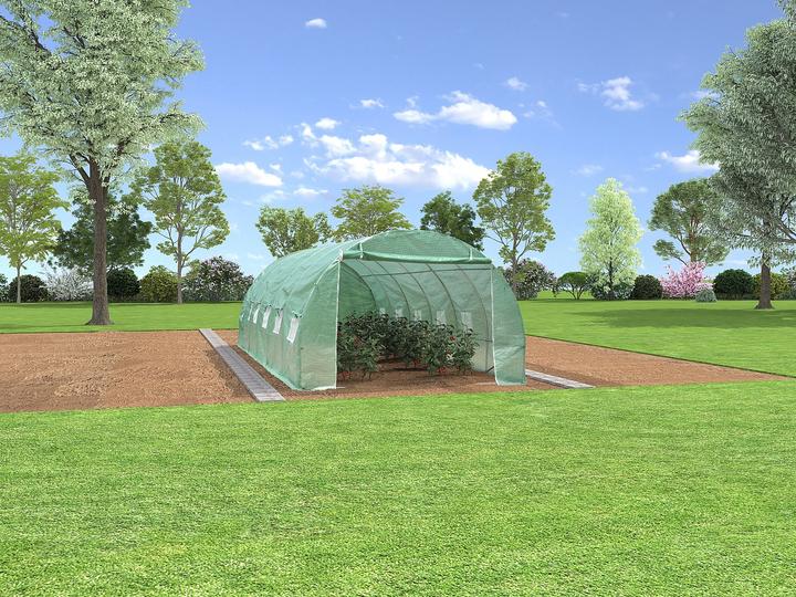 Image du produit Vente-unique Ipomea