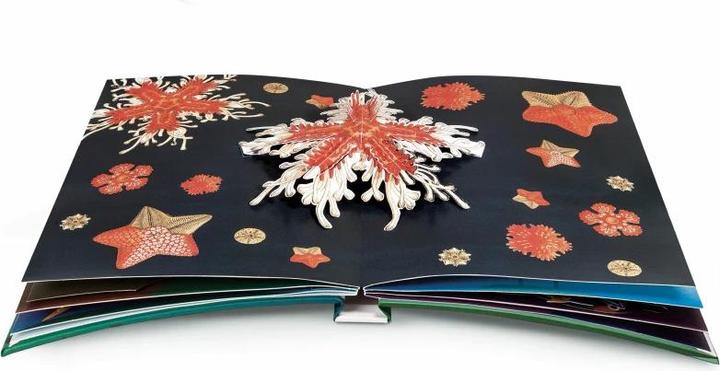 Produktbild Wunderwesen aus der Tiefe. Ernst Haeckel (Deutsch, Ernst Haeckel, 2015)