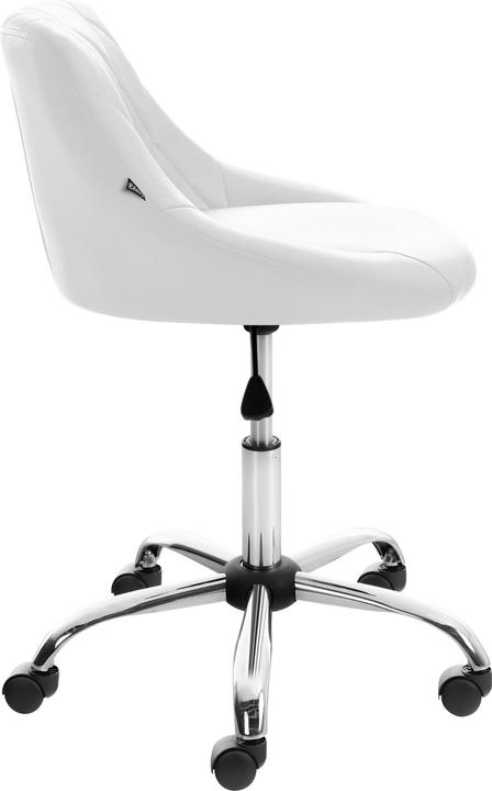 Immagine prodotto CLP Lazio (44 - 55 cm)