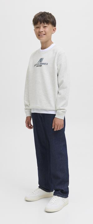 Produktbild Jack & Jones Jcotier Print Sweat Crew Neck Sn Jnr (128)