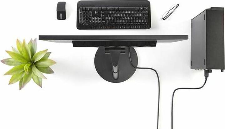 Image du produit StarTech DisplayPort — DVI (1.80 m)