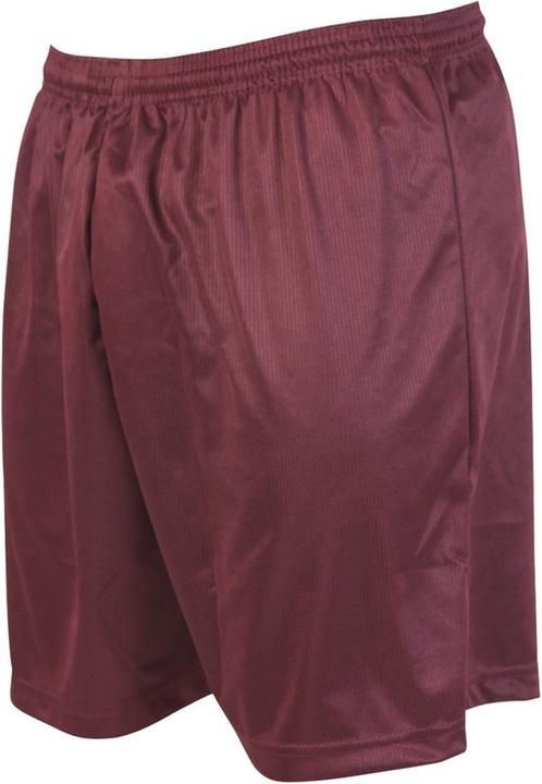 Produktbild Precision ErwachsenenFussballshorts mit MikroStreifen (XL)