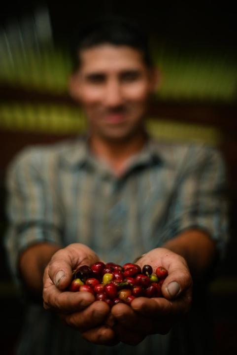 Image du produit Café Royal Espresso (500 g, Torréfaction foncée)