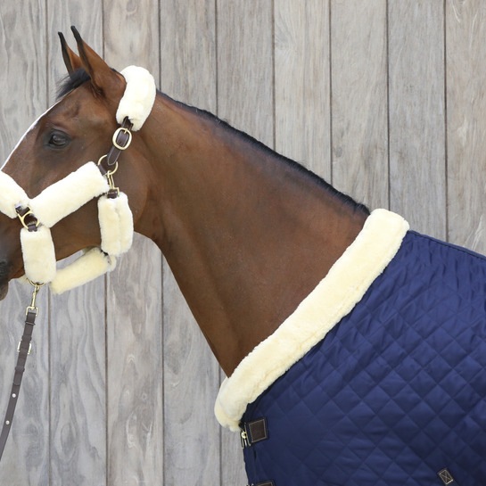 Immagine prodotto Kentucky Horsewear Corda dimostrativa 2m Biothane Beta