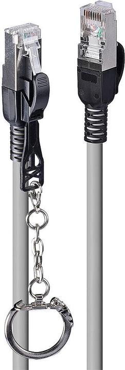 Produktbild Lindy Cat., S/FTP, Security Network Cable, Grey (S/FTP, CAT6a, 0.50 m)