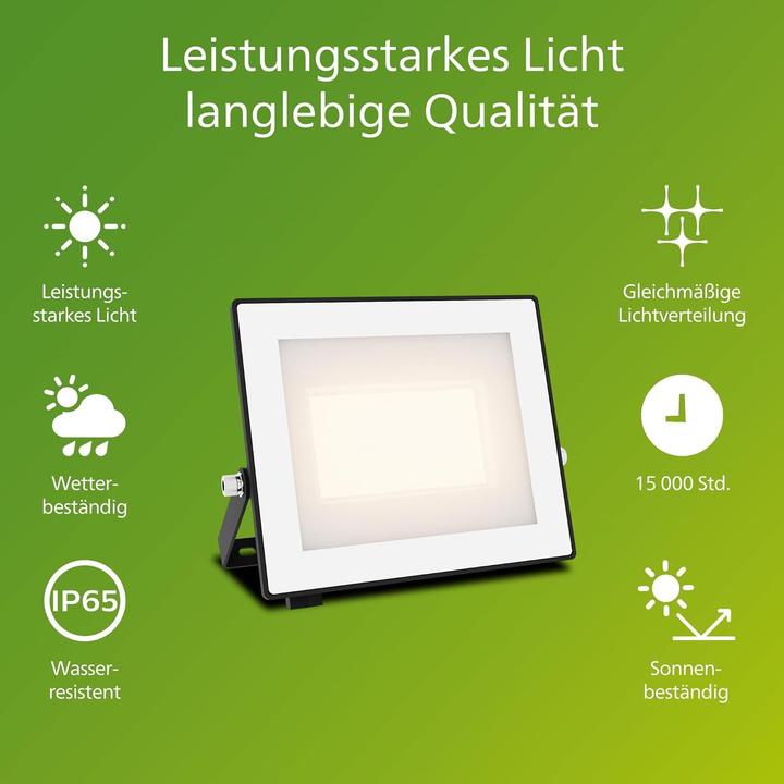 Actual product image Philips Outdoor Flutlicht Lois (3200 lm, IP65)