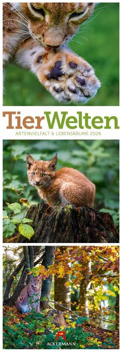 Image du produit Tierwelten Triplet-Kalender 2026 (24 x 66 cm, Allemand)