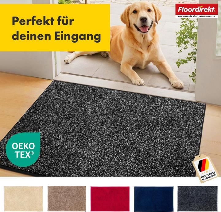 Image du produit Floordirekt Schmutzfangmatte Nasa (86 x 150 cm)