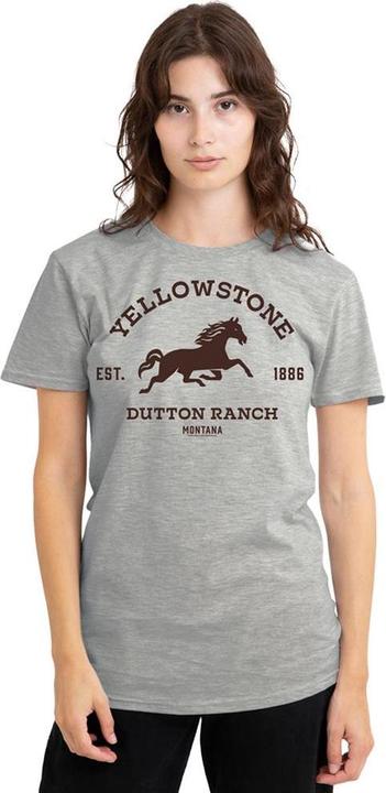 Produktbild Yellowstone Dutton Ranch TShirt meliert (S)
