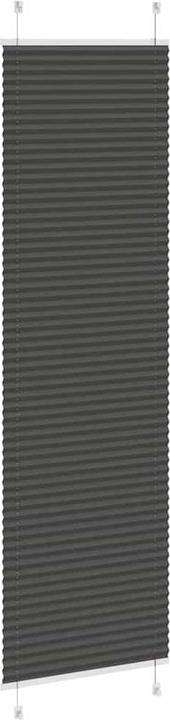 Produktbild vidaXL Plissee (55 x 200 cm)