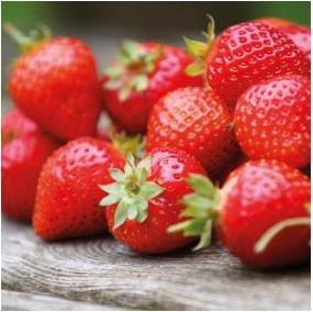 Actual product image FunCakes Strawberry flavor paste (120g) (120 g)