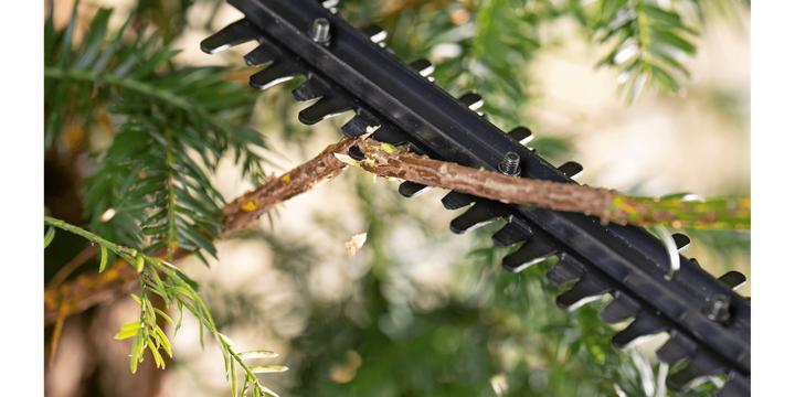 Produktbild Bosch Home & Garden EasyHedgeCut 18V-44-11 (Akkubetrieb)