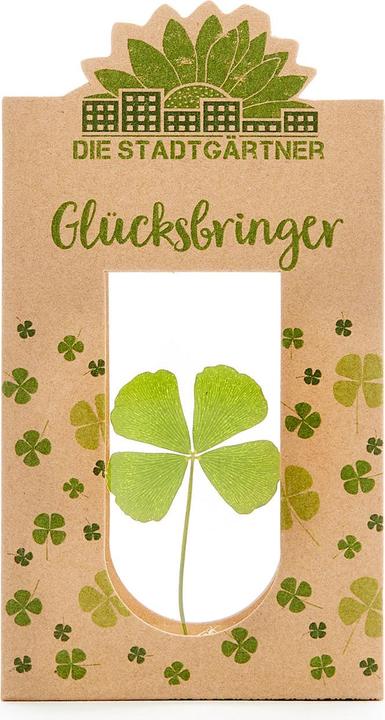 Die Stadtgärtner Glücksbringer (9 x 5 x 2 cm)