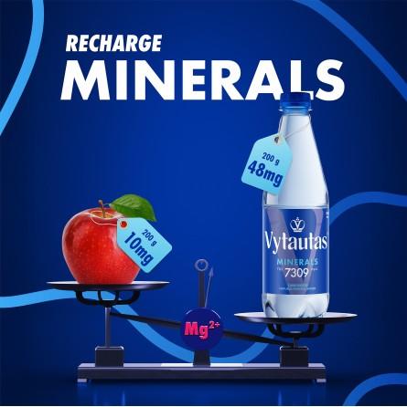 Image du produit BMV Vytautas Mineralwasser mit Kohlensäaure (6 x 150 cl)